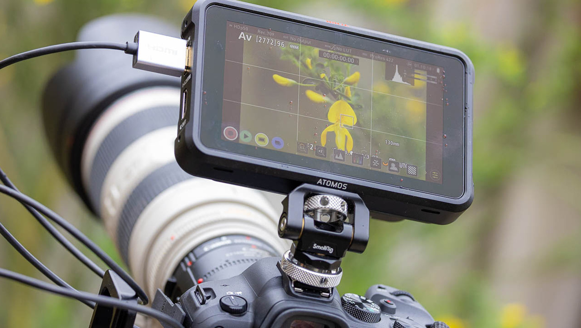 Looking Into the Possibilities for Using an External Screen for Photography